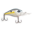Sexy Shad