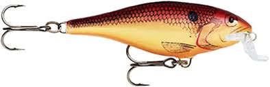 Rapala SHAD RAP SHALLOW RUNNER (SSR-7)