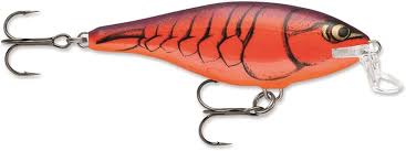 Rapala SHAD RAP SHALLOW RUNNER (SSR-7)