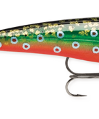 Brook Trout (BTR)