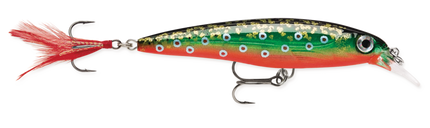 Rapala XR6
