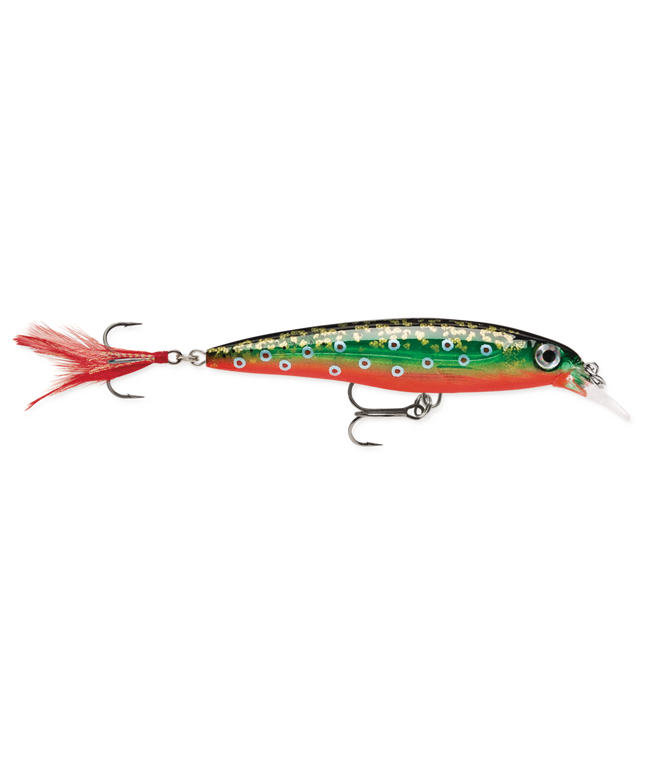 Rapala XR6