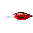 Translucent Red Crawfish