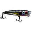 Sardine