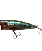HL21