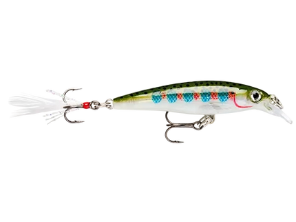 Rapala XR6
