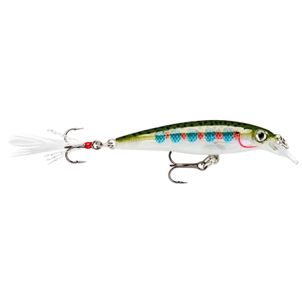 Rapala XR6