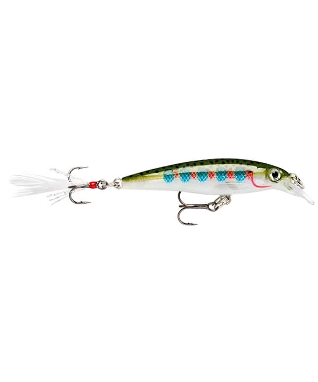 Rapala XR6