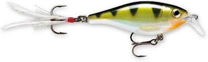 Rapala X-RAP SHAD SHALLOW (XRSH-6)