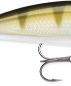 Yellow Perch (YP)