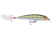 Yellow Perch (YP)