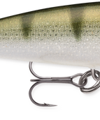 Yellow Perch (YP)