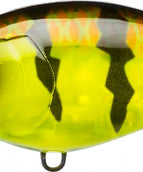 Prism Chart Perch (PCPC)