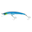 Sardine (F1146-C5)