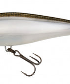 GHOST GIZZARD SHAD