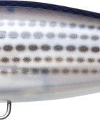 PEARL MULLET PLMT