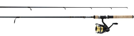 Combo Daiwa Shock
