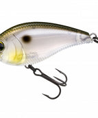 GIZZARD SHAD