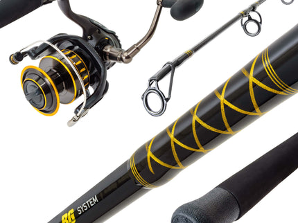 Combo Daiwa BG Spinning