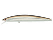 DSPM13F32 Sand Eel