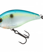 CITRUS SHAD