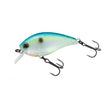 CITRUS SHAD