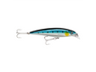 Blue Sardine BSRD