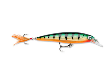 Rapala XR8