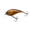 BROWN CRAWFISH