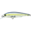 GHOST SEXY SHAD