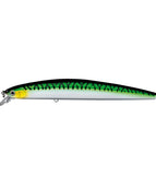 DSPM15F25 Green Mackerel