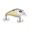 Sexy Shad