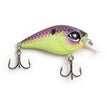 Kosmo Shad