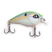Citrus Shad