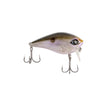 Native Shad