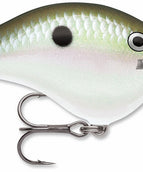 Green Gizzard Shad (GGSD)