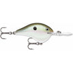Green Gizzard Shad (GGSD)