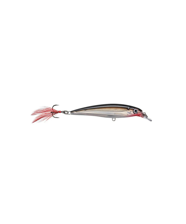 Rapala XR6