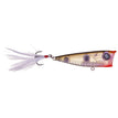 Native Shad