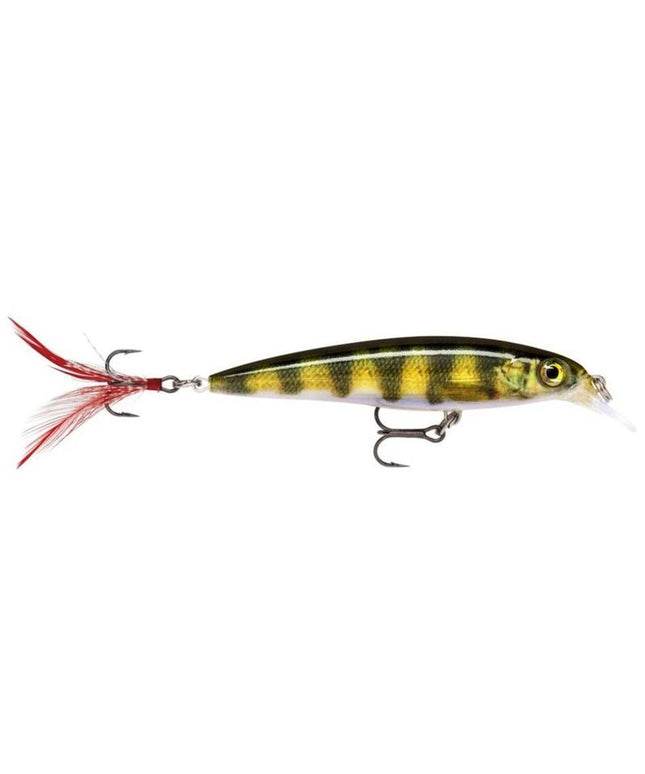 Rapala XR6